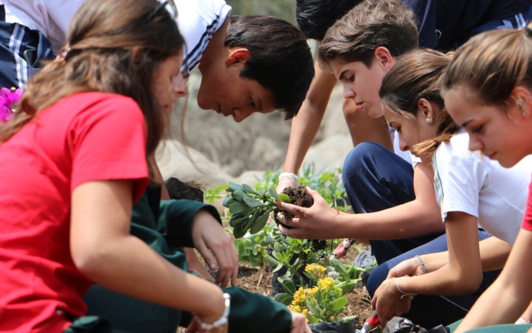 ¿Educación mixta o educación diferenciada? ¿Cuál elegir?